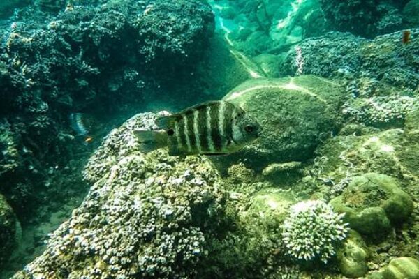 Bar Reef Marine Sanctuary