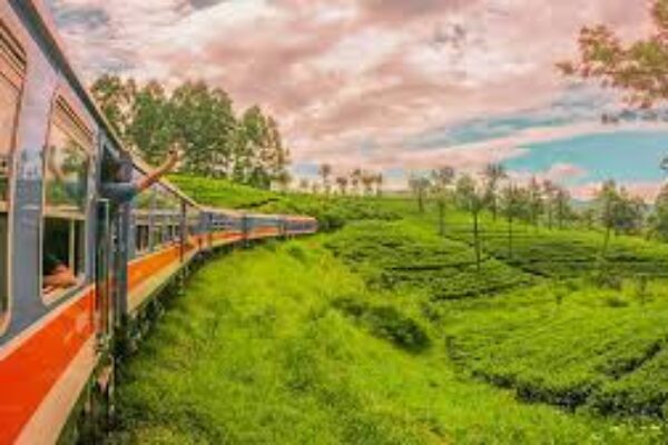 Scenic Train journey from Nanu Oya to Ella