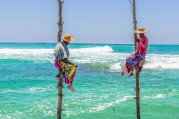 Stilt Fisherman